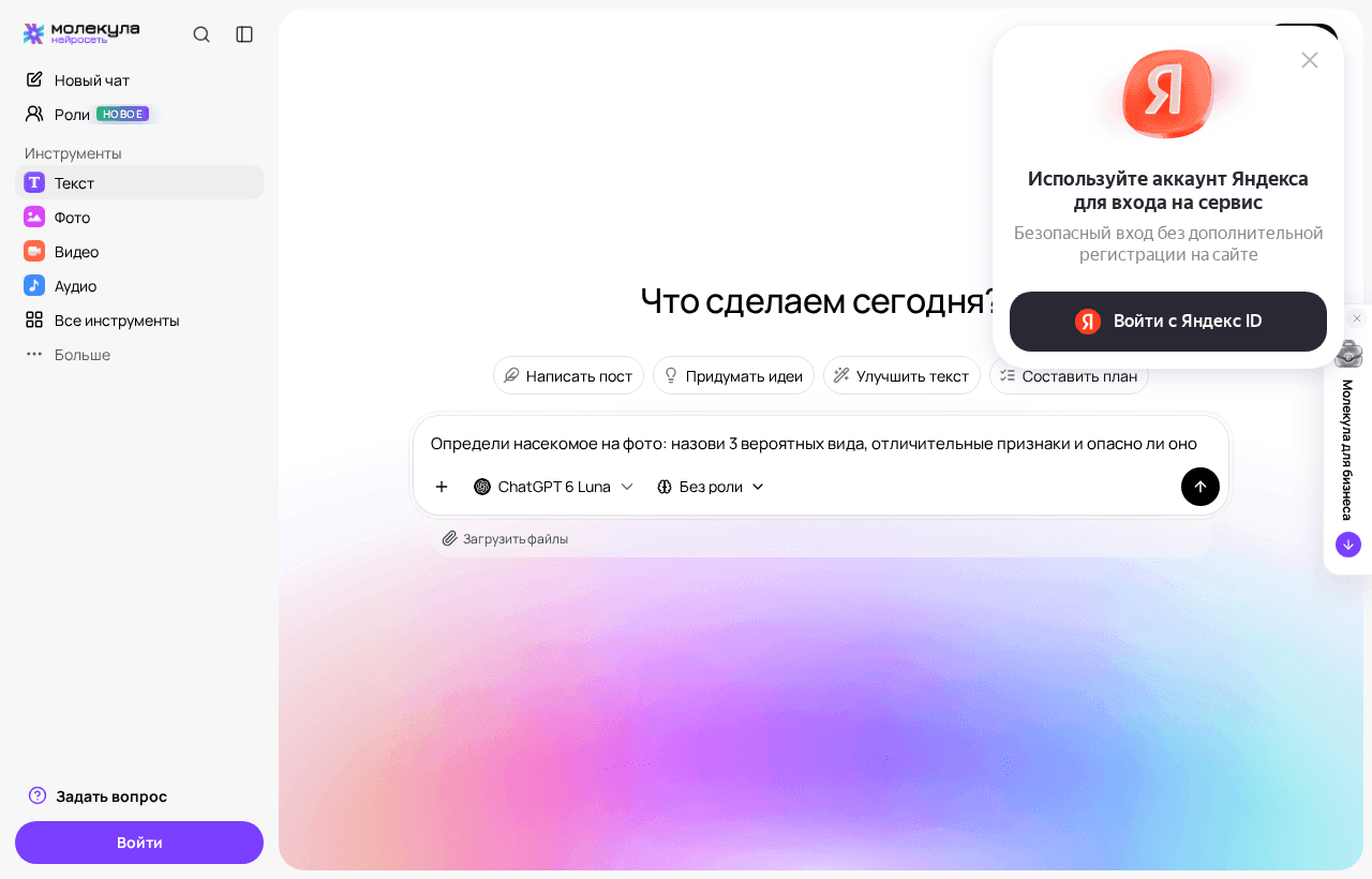 Поле ввода с запросом на определение насекомого и выбранная текстовая модель